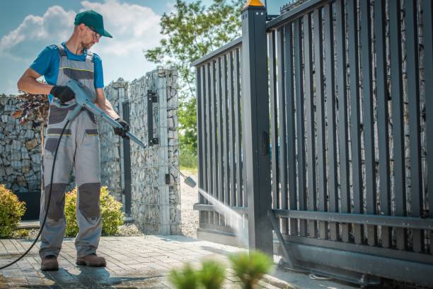 Animal Enclosure Cleaning in Springville, AL